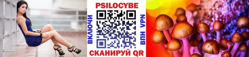 Купить  Щёлково  Галлюциногенные грибы мицелий 