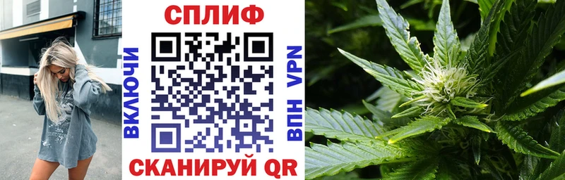 Купить  Щёлково  МАРИХУАНА THC 21% 